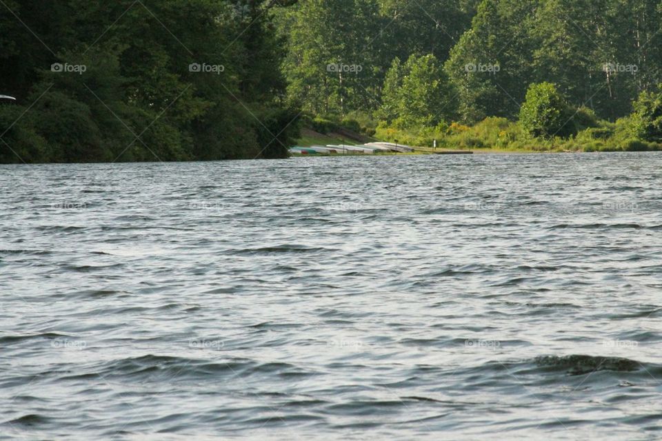 canoes resting along shore