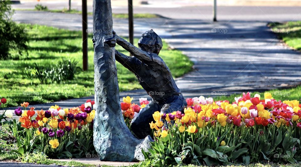 Tulips and Little Boy Statuary