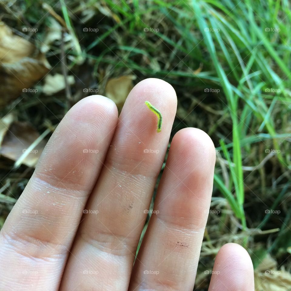 Hand, Foot, Nature, Finger, Grass