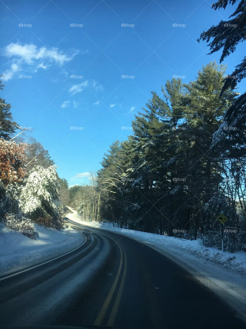 Winter 