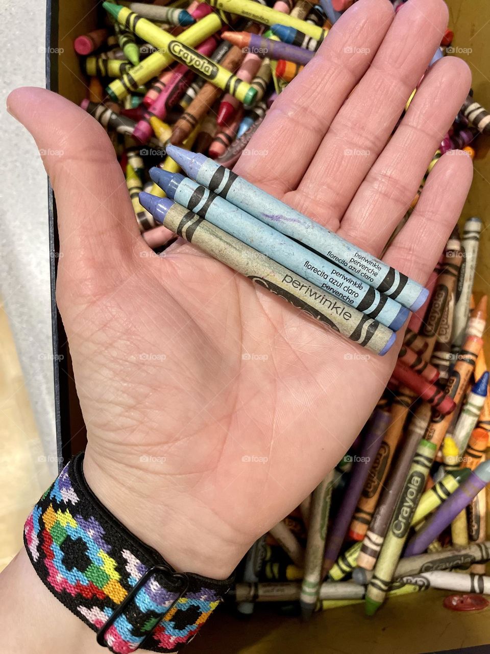 Woman’s hand holding Periwinkle crayons, finding crayons in the crayon box, choosing your favorite color of crayon, big box of color, coloring supplies for a toddler