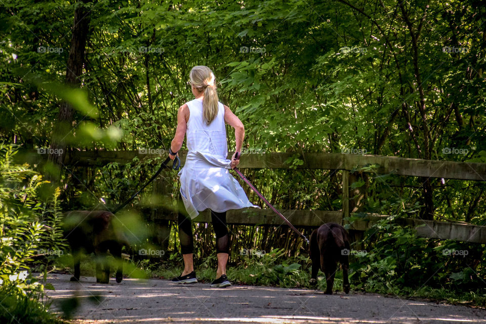 Lady on a morning walk with her dogs