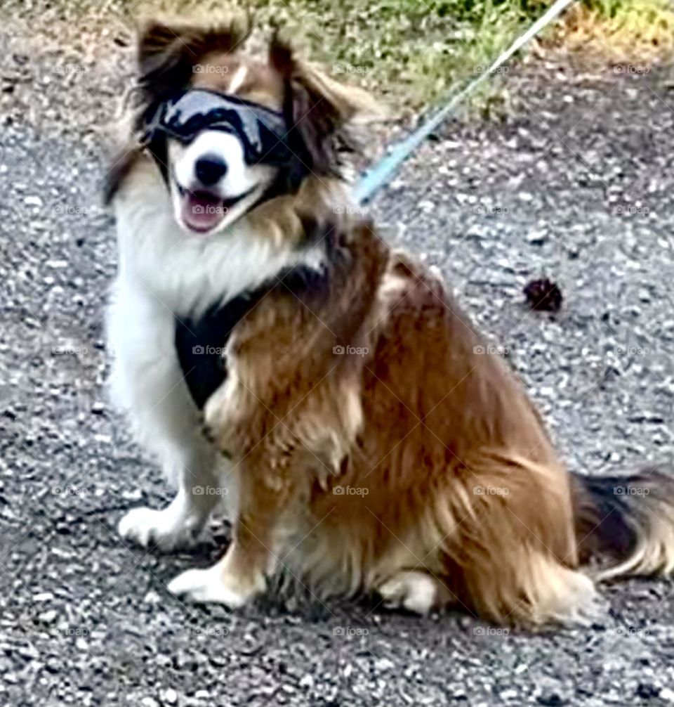 Too cool for this walk