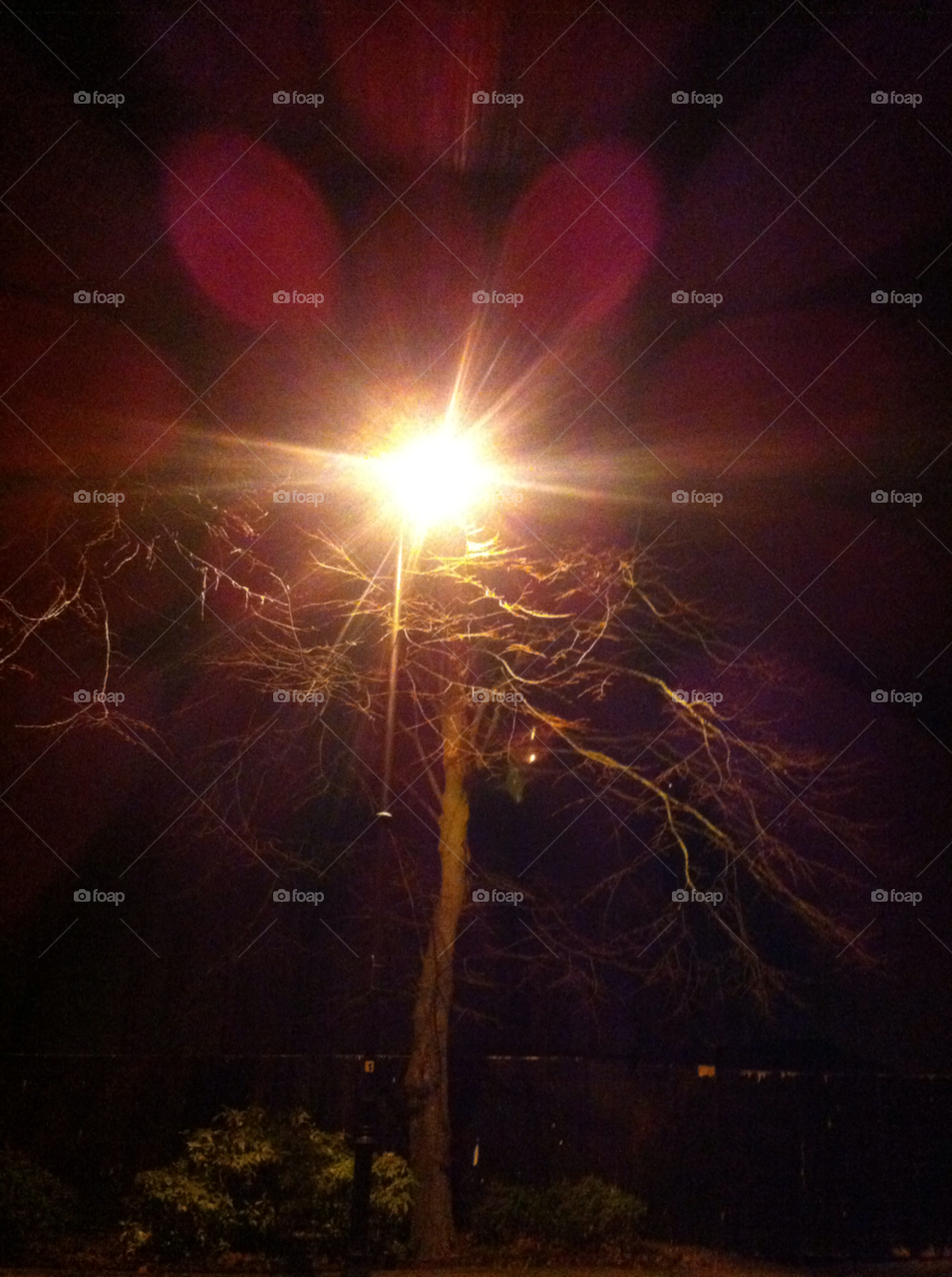 tree night lamp blur by somebodysson