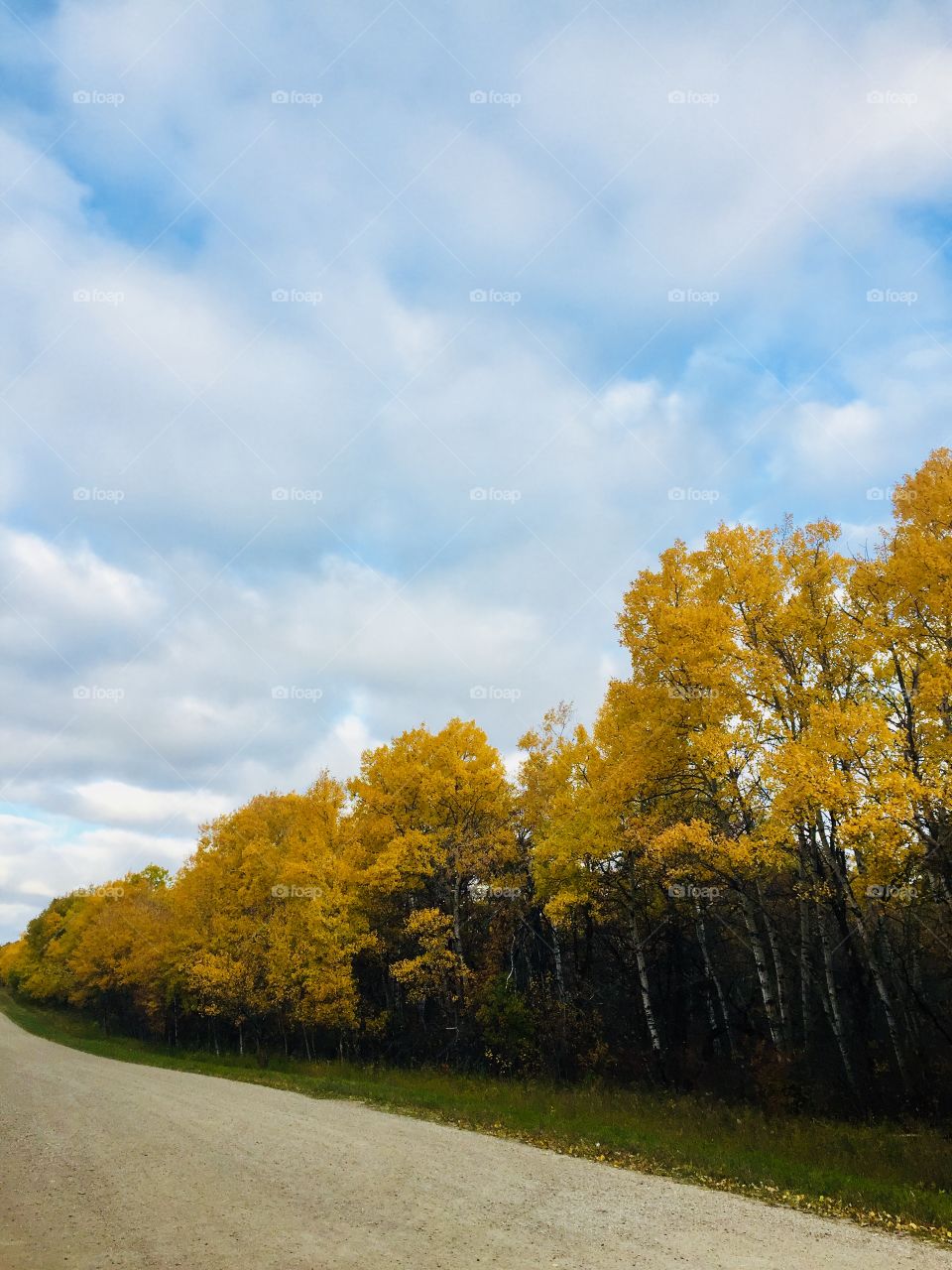 Fall in Brandon Manitoba hills 
