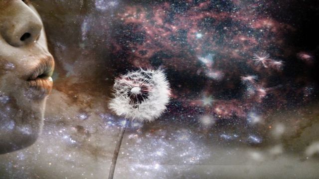 Space dandelion 