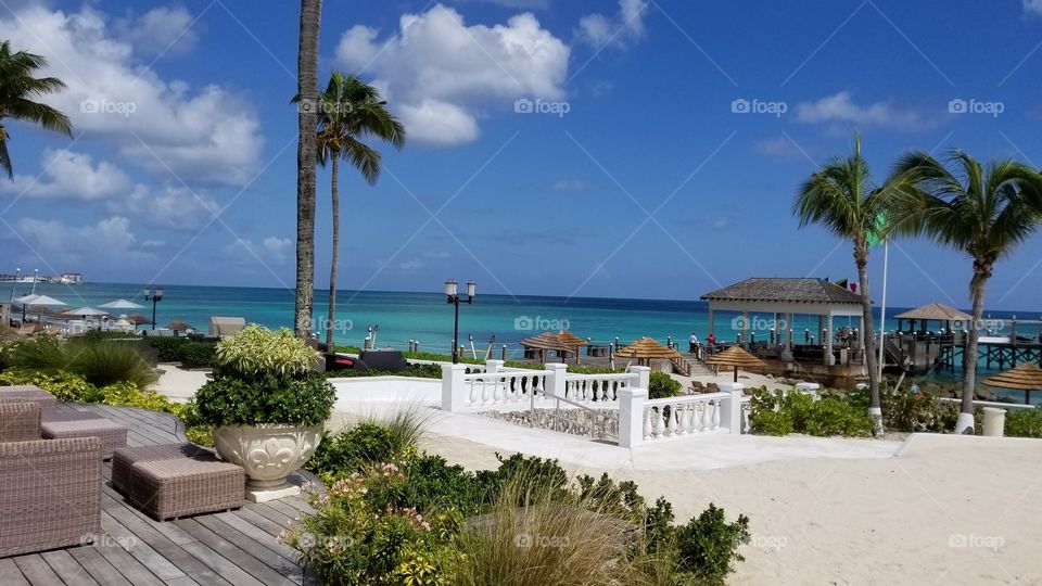 What A Beautiful View