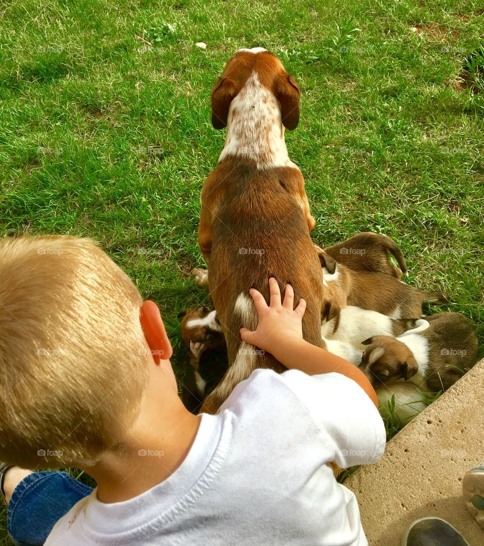 Summertime puppy fun 