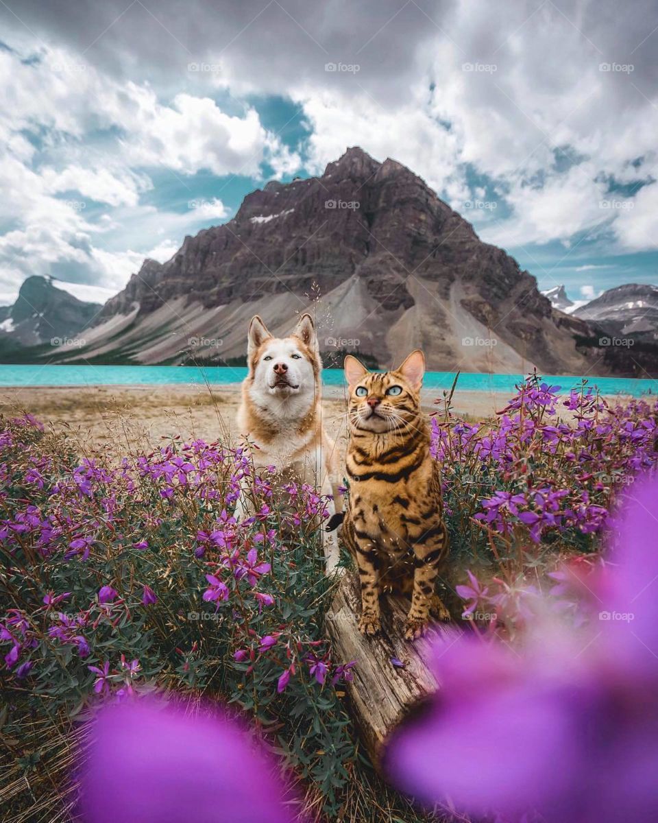 Adventures are better together! 😻🐕