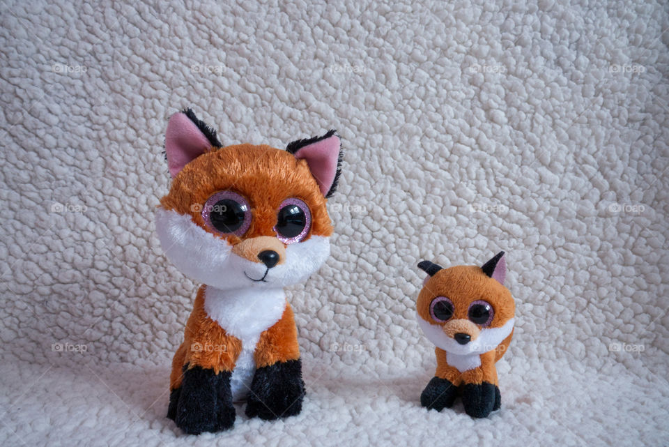 Small and big plush fox.