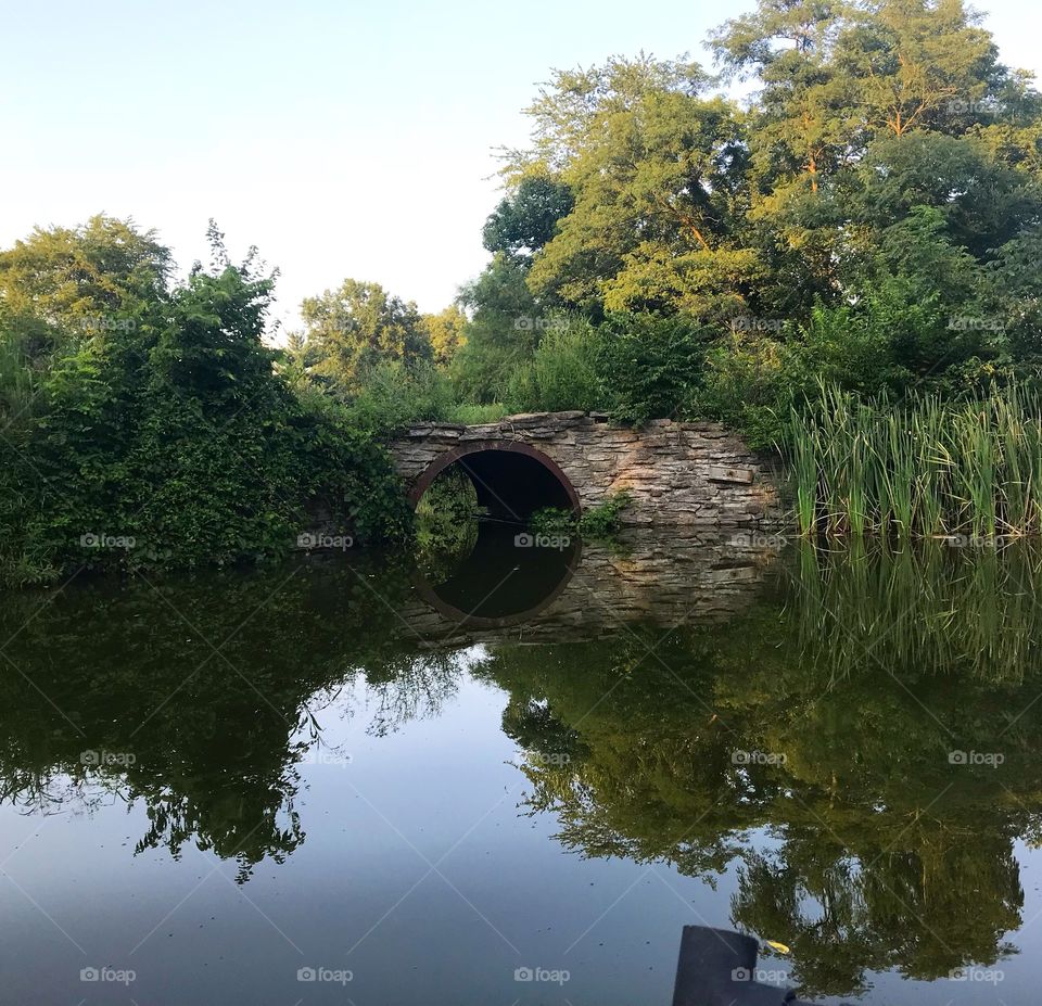 Pond bridge 