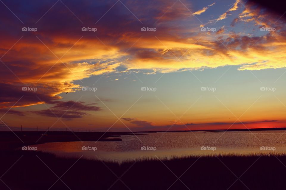 High angle view of nature