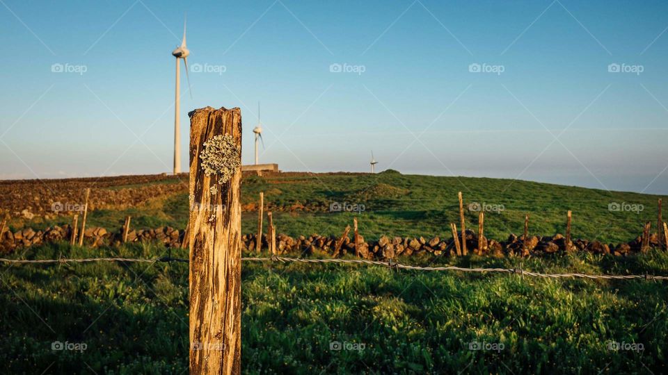 Wind energy in the middle of agriculture land.