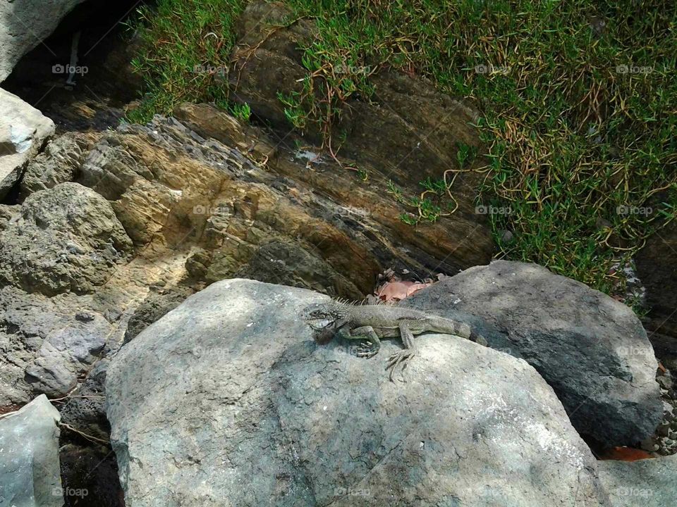 Rock, Water, Stone, Nature, Landscape