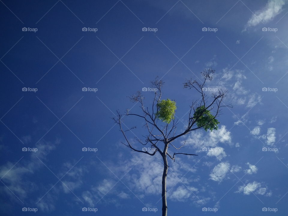 beautiful colorful day