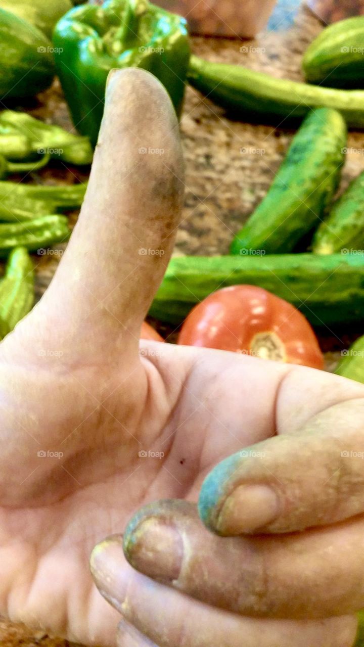 This green thumb produced a good crop of summer vegetables!