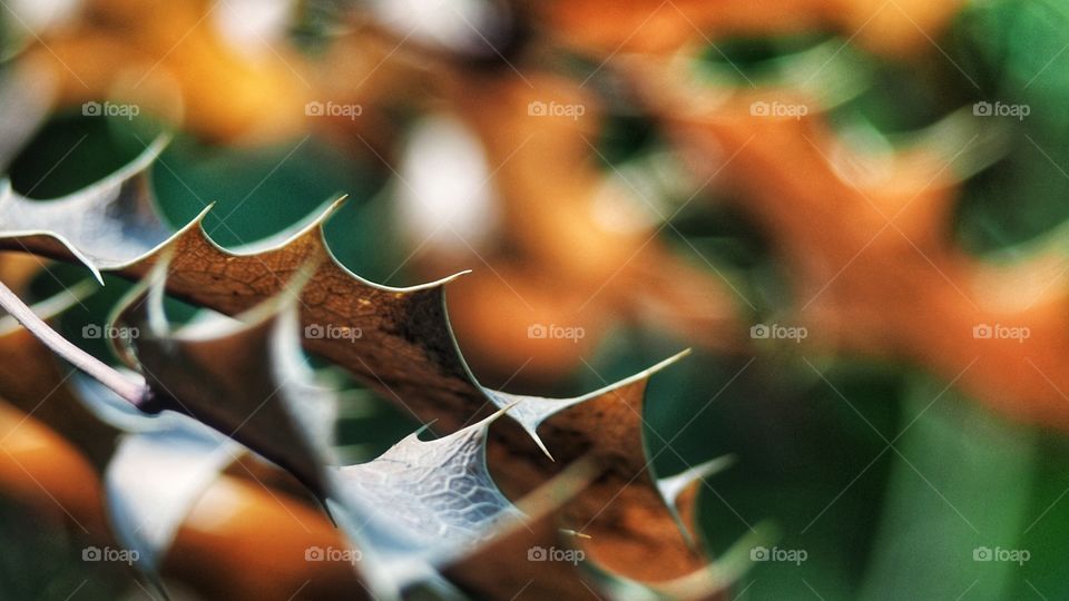 A las puertas del Otoño