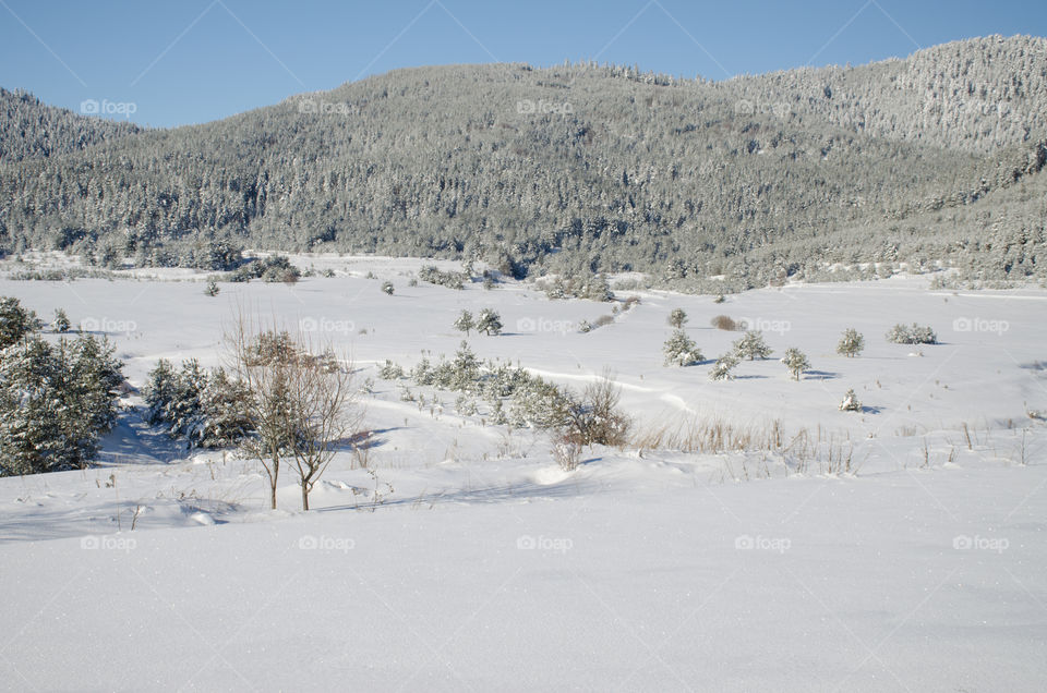 Winter landscape From Bulgaria