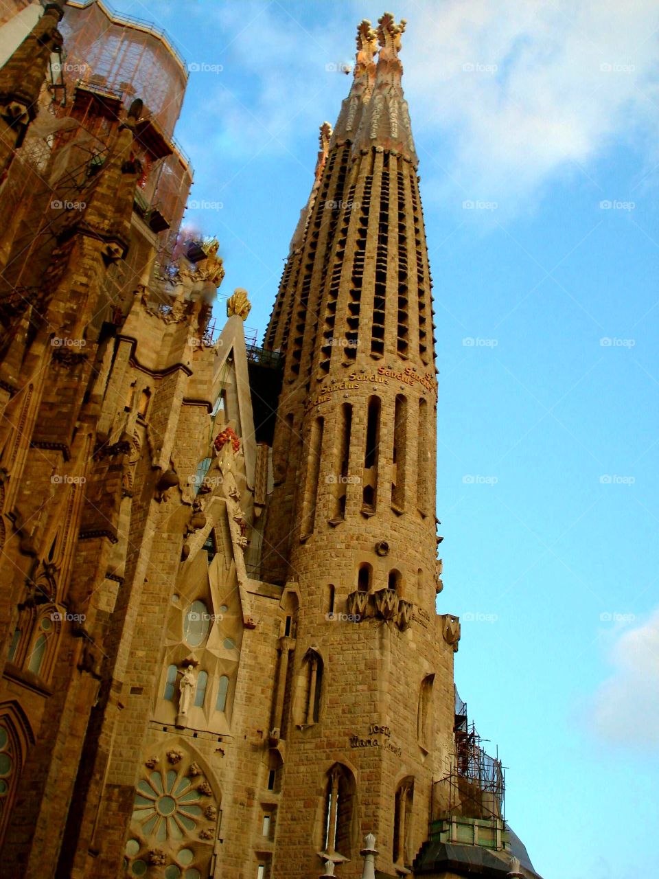 The intricate architecture  of Sagrada Familia