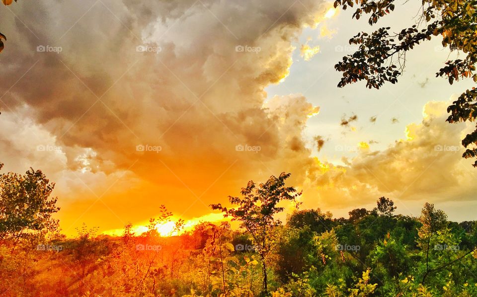 Dramatic sky over field