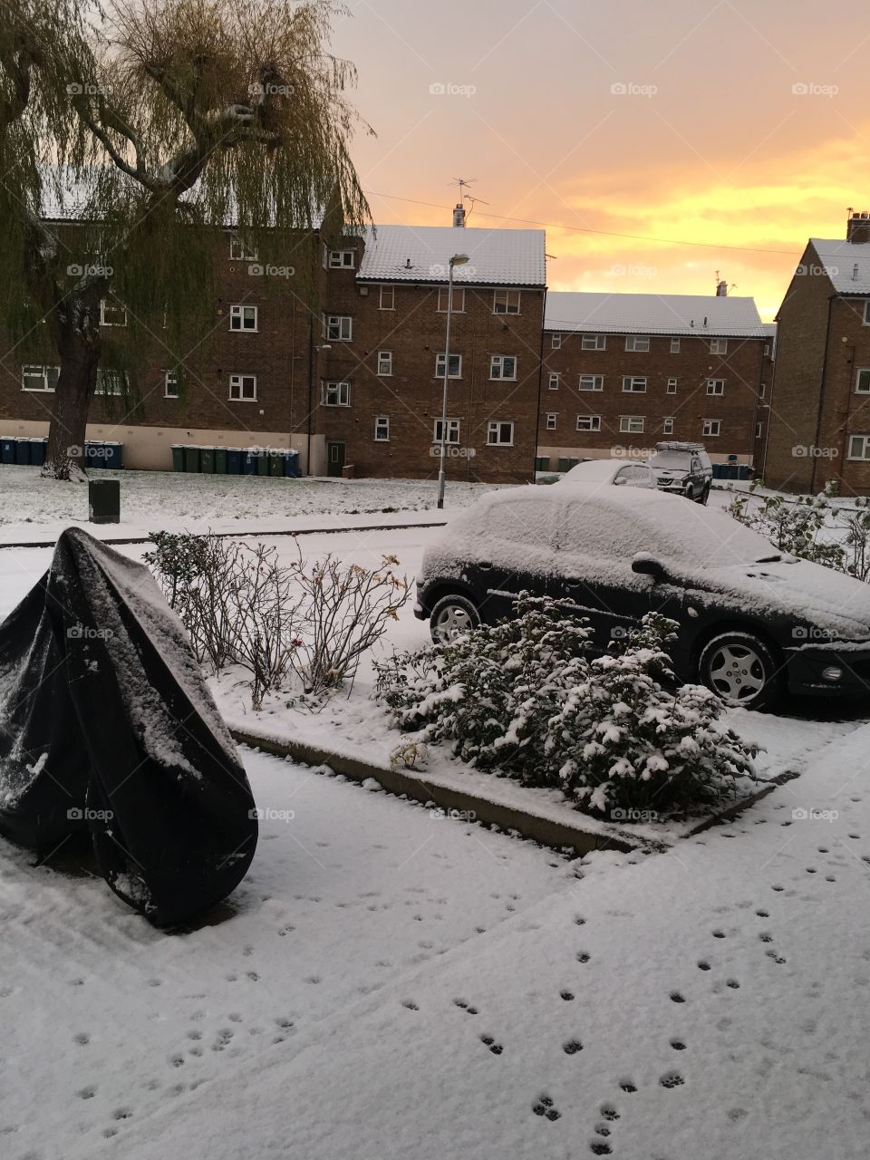 Snow and sunset