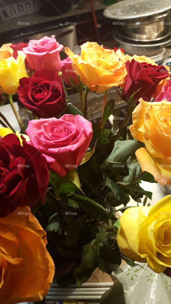 Rose, Love, Romance, Bouquet, Flower