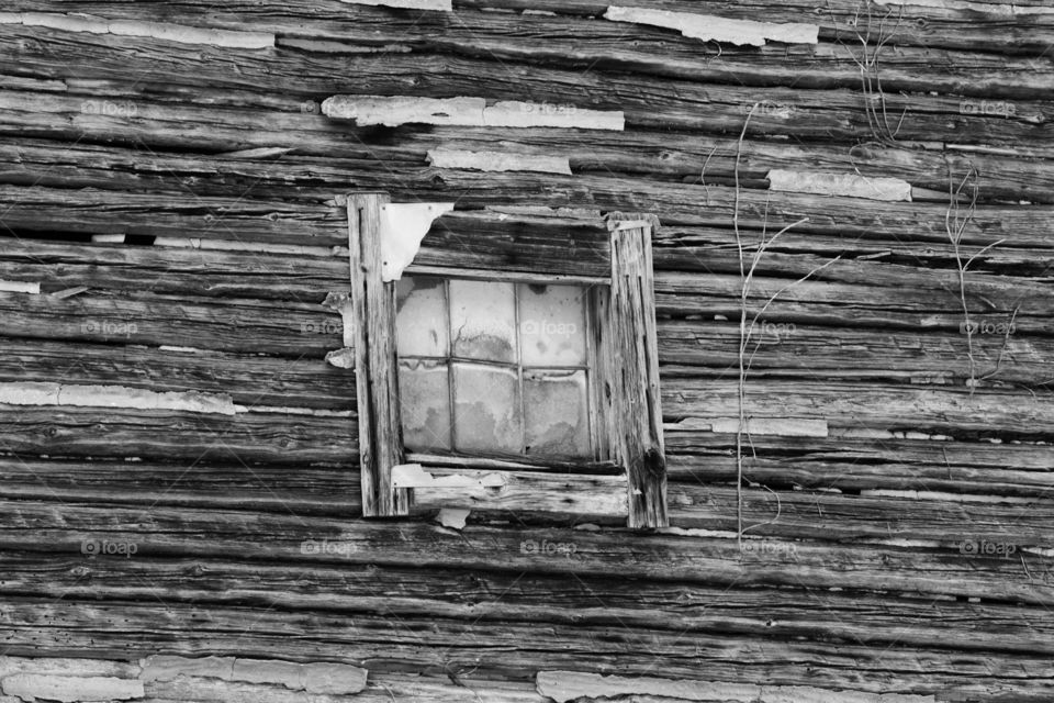 A Window to the Past