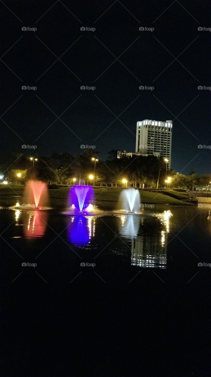 Beauty In The Shadows