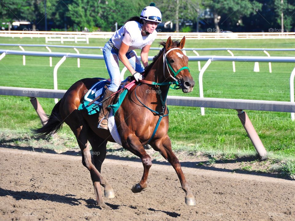 Gary Contessa Workouts at Toga. This pretty exercise rider is training the beautiful Thoroughbred from the Gary Contessa stables 
Zazzle.com/Fleetphoto 