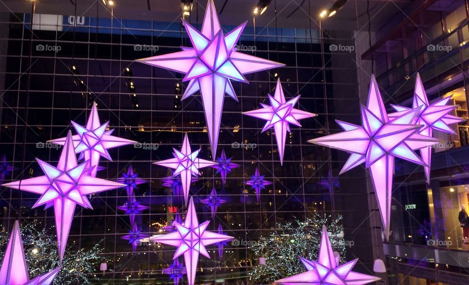 Purple and Lavender Lights During the Holidays