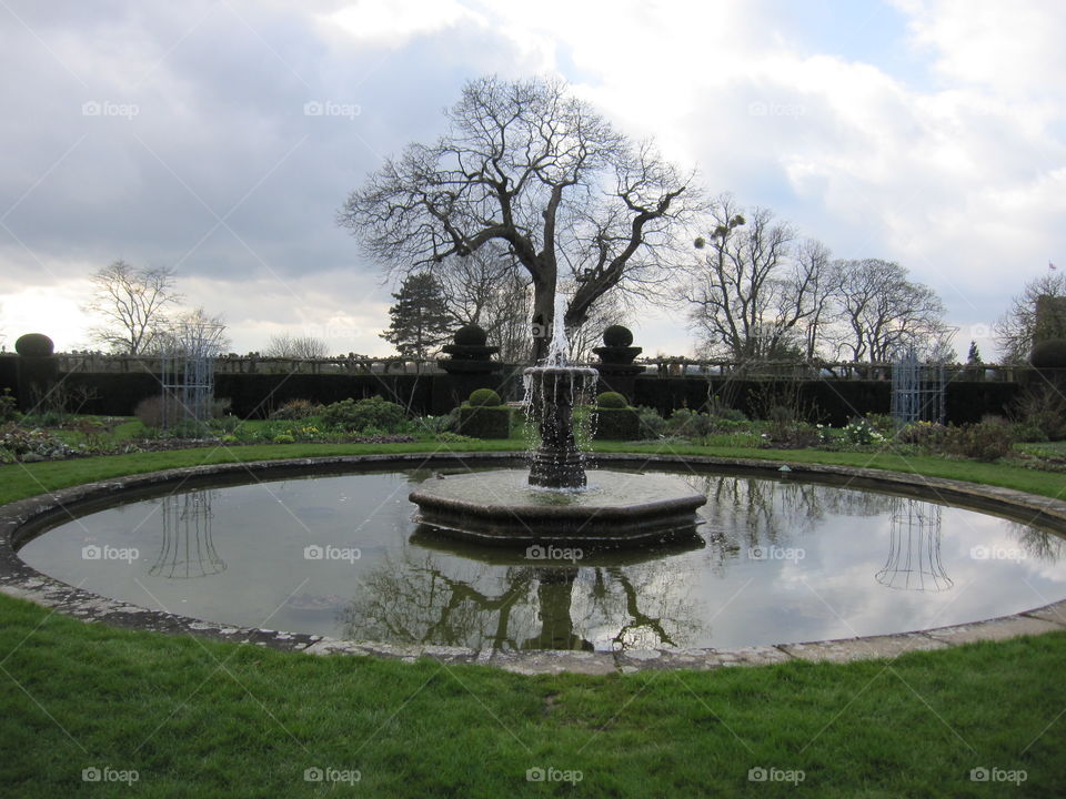 Tree, Water, Fountain, Pool, Park