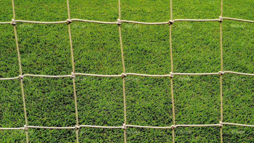 Football net and green grass background