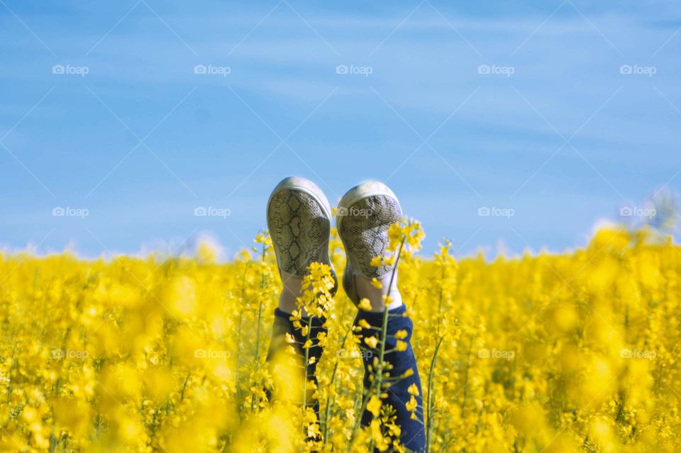 girl in a flowering field