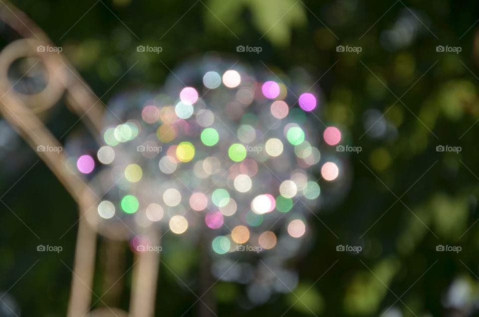 Color, Blur, Focus, Desktop, Bright