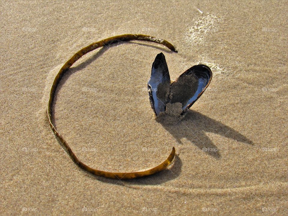 On the beach