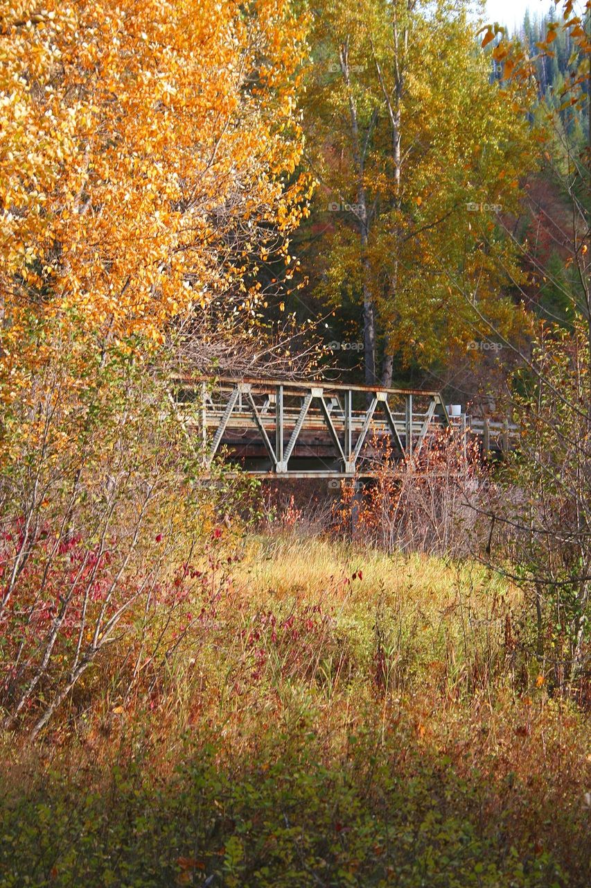 Fall Bridge 