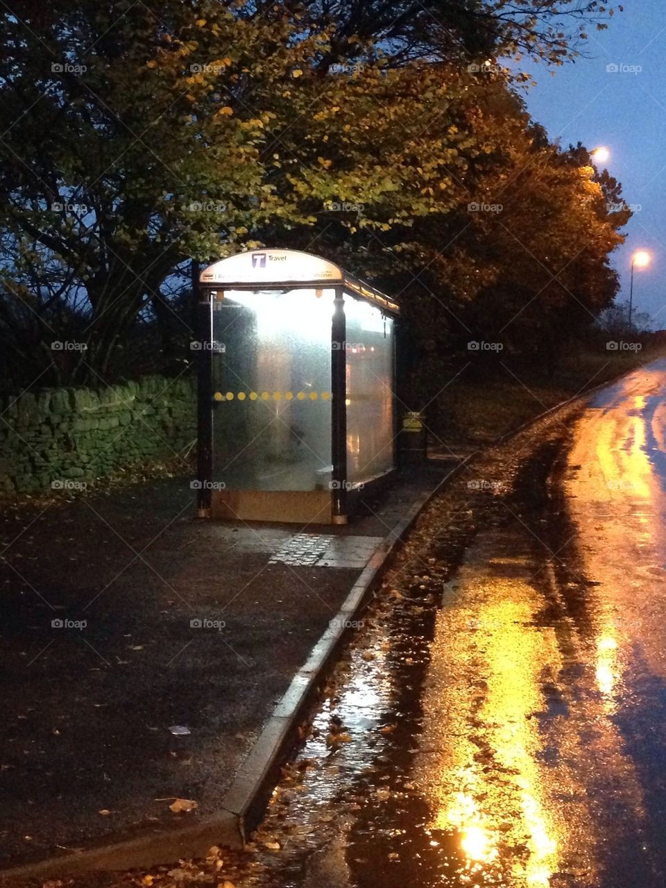 Bust stop in the rain 