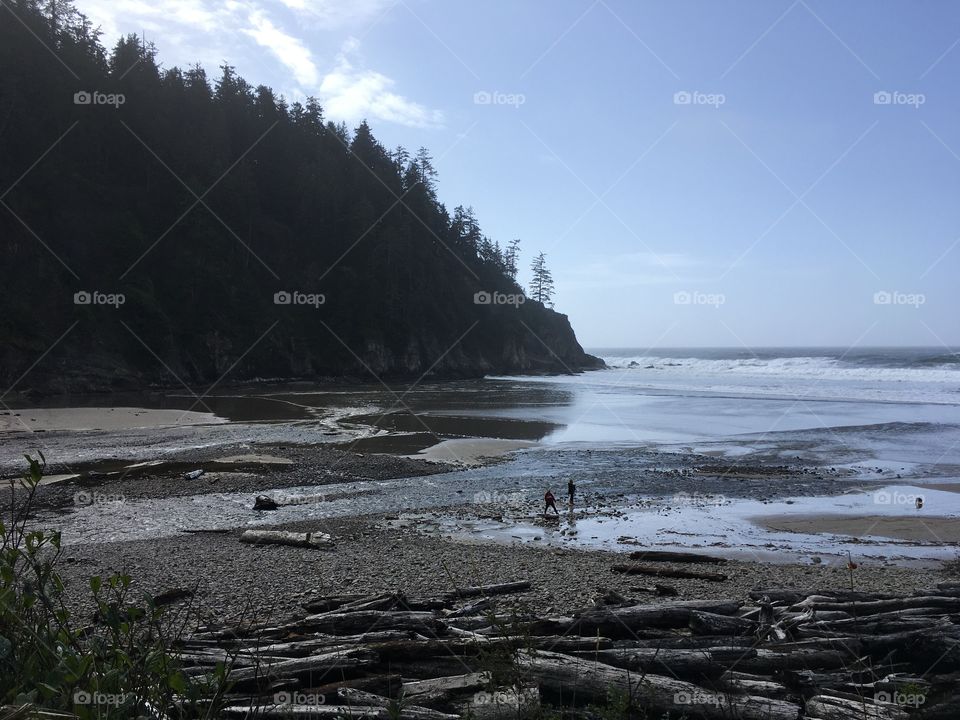Oregon coast 
