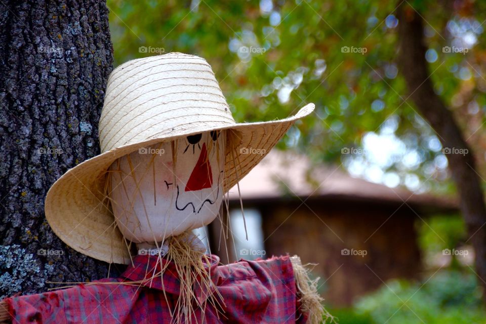 Close-up of a scarecrow against tree