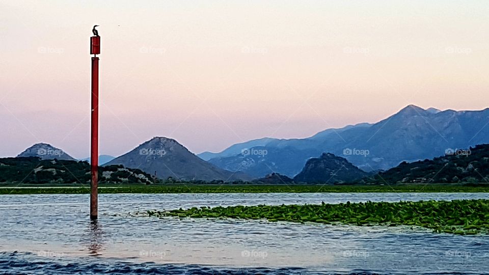 the sun setting on lake skadar, the border between Montenegro and Albania ❤👌 last tour of the day 😊
