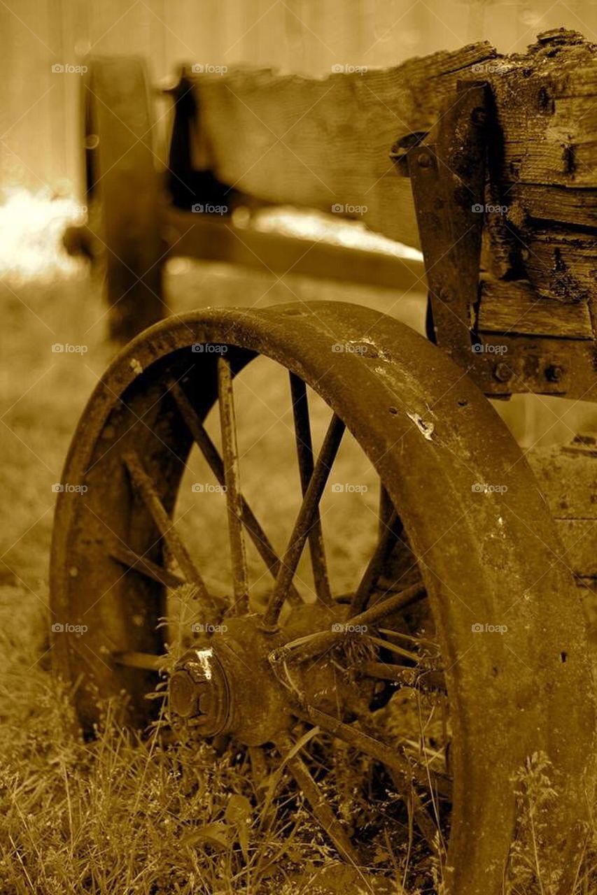 Wagon Wheel