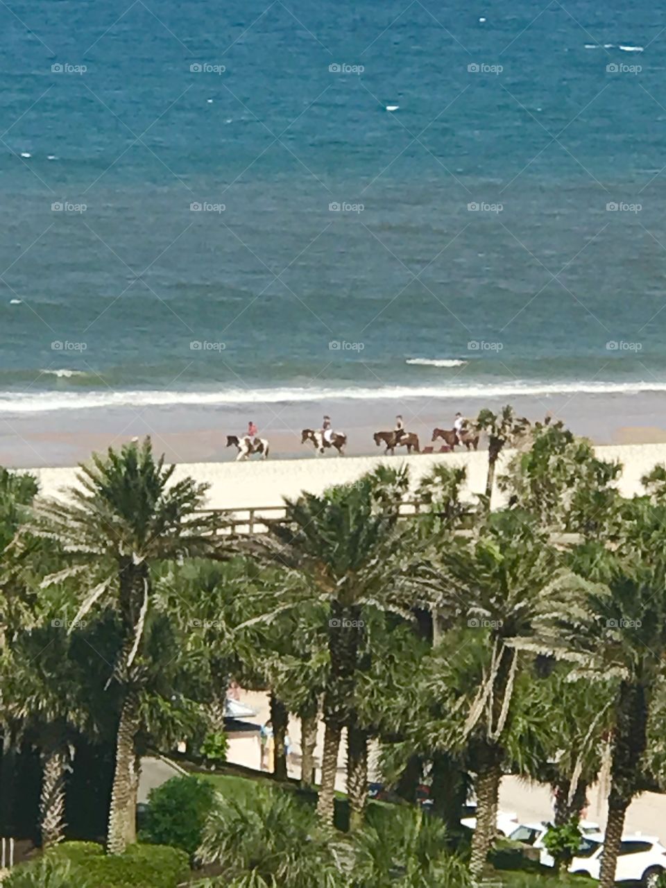 Horseback Riding on the Beach