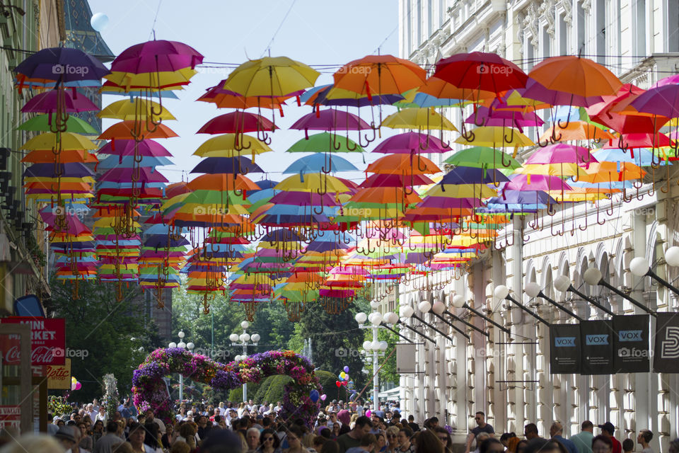 Spring in Timisoara