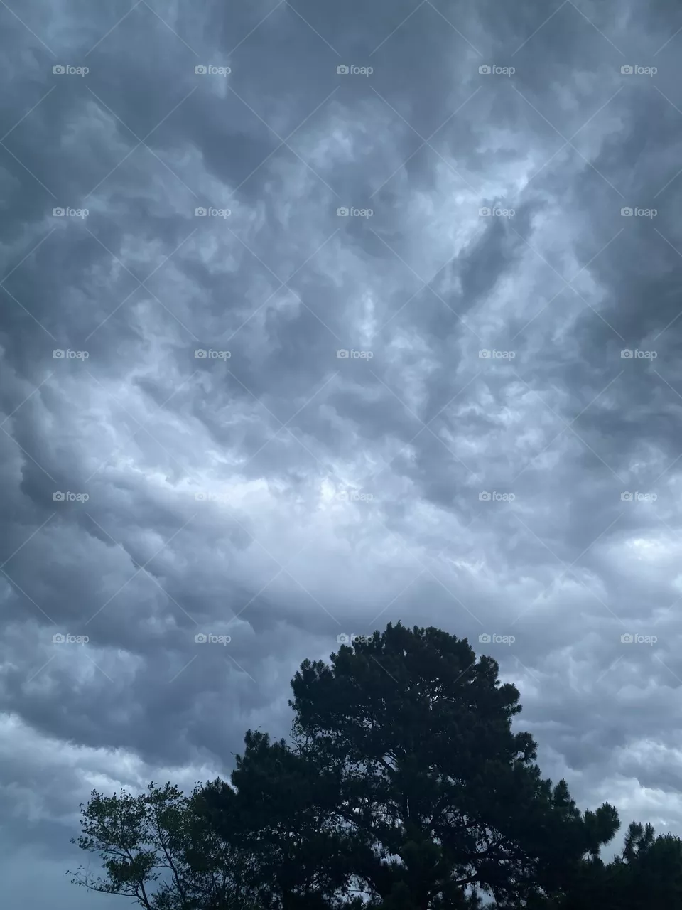Rain in the air 