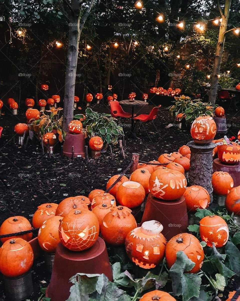 Halloween pumpkin orange in London