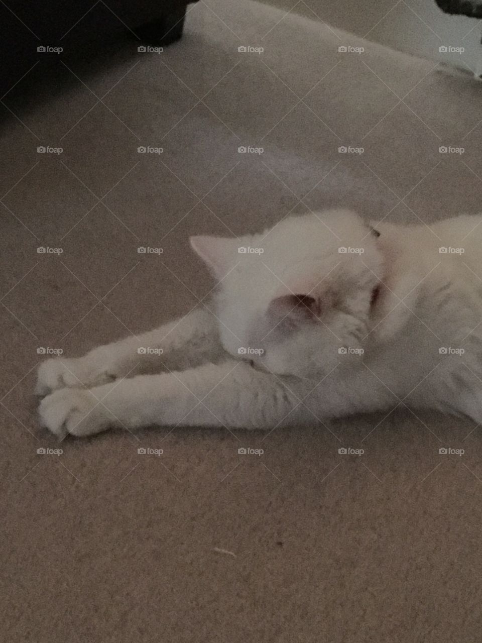 Oh no - it’s not Monday again. I just want to lie here and pretend it’s not happening. 