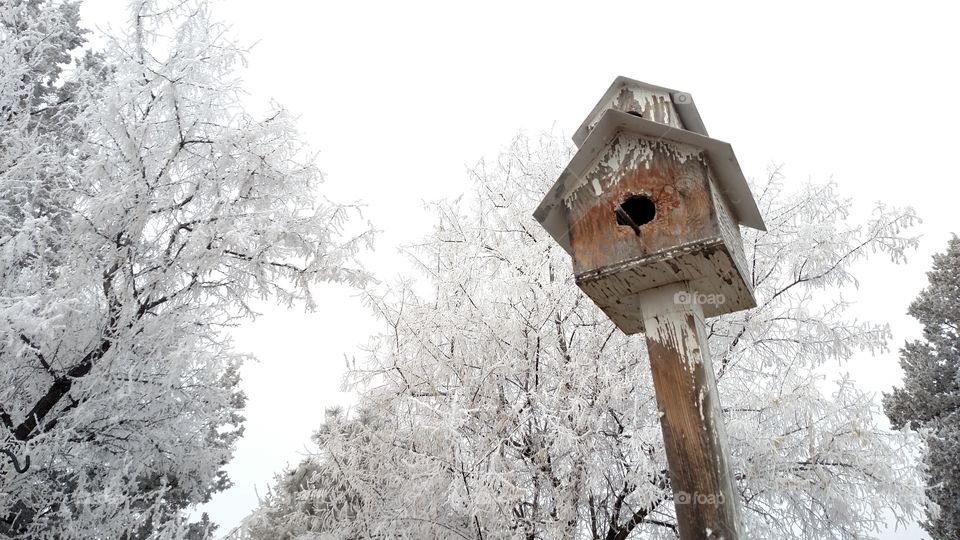 Winter Birdhouse Ice Storm