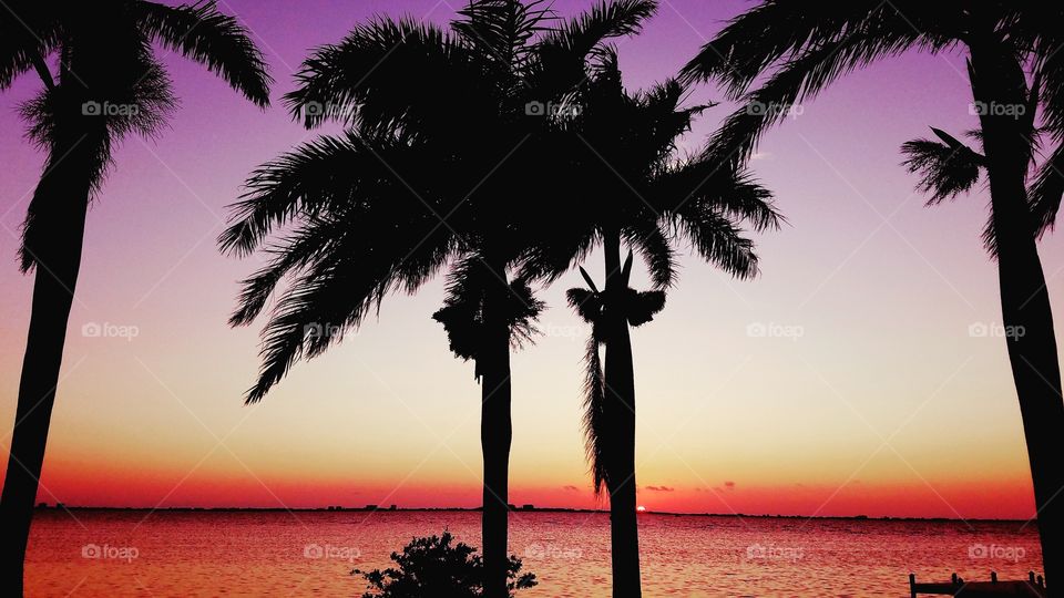 Sunset over Sarasota Bay in Florida