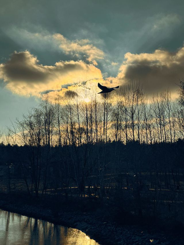 Feel the freedom..