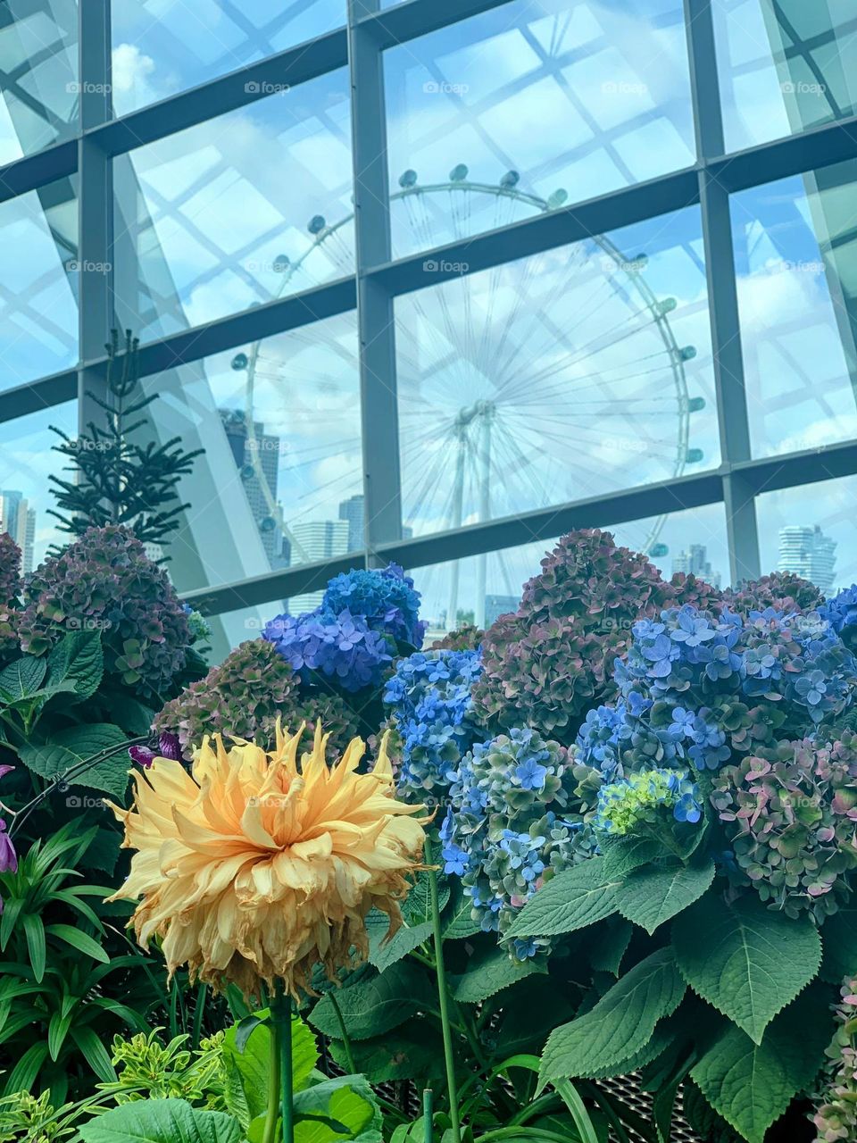 Gardens by the bay